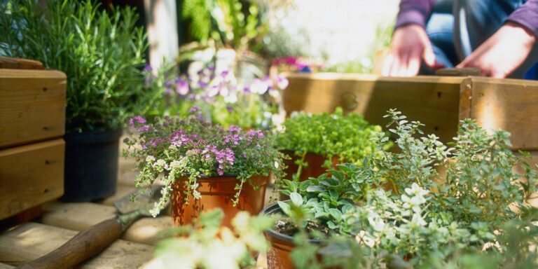 Adding Gardening Into Your Lifestyle: 4 Practical Tips to Help You