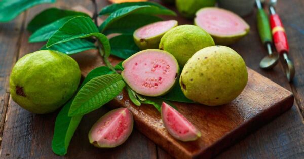 wellhealthorganic.com:5-amazing-health-benefits-of-guava