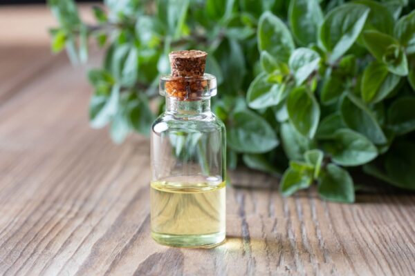 wellhealthorganic.com:health-benefits-and-side-effects-of-oil-of-oregano