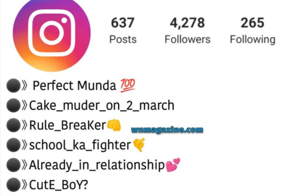 Bio For Instagram For Boy