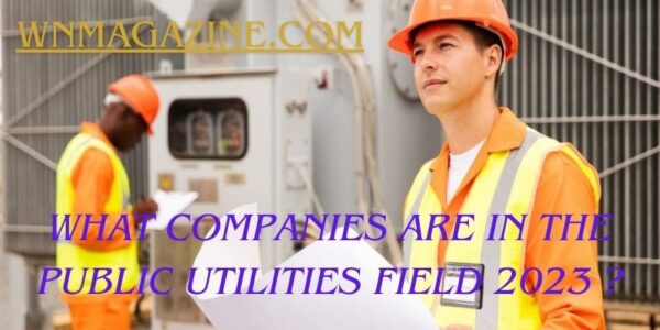 What Companies are in The Public Utilities Field 2023 ?