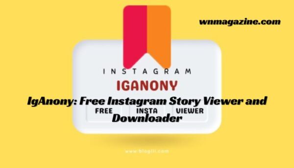 IgAnony: Free Instagram Story Viewer and Downloader