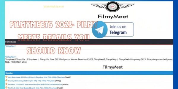 Filmymeet5 2023- Filmy Meet5 Details You Should Know