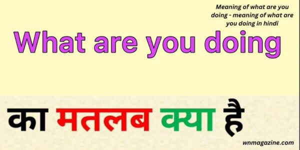 Meaning of what are you doing - meaning of what are you doing in hindi