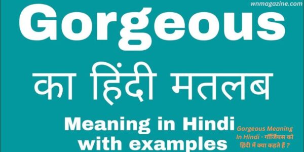 Gorgeous Meaning In Hindi - गॉर्जियस को हिंदी में क्या कहते हैं ?