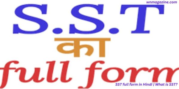 SST full form in Hindi | What is SST?